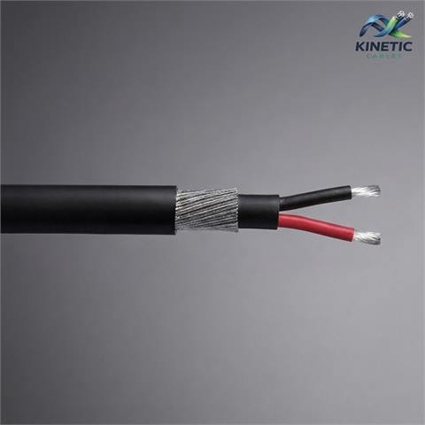 10 Sq Mm 2 Core Aluminium Armoured Cable